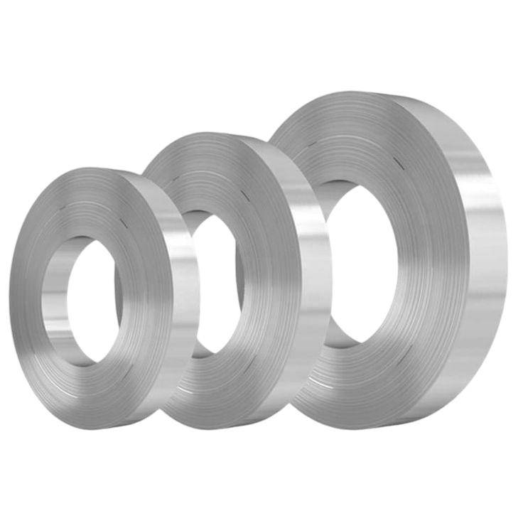 Stainless Steel Strip  